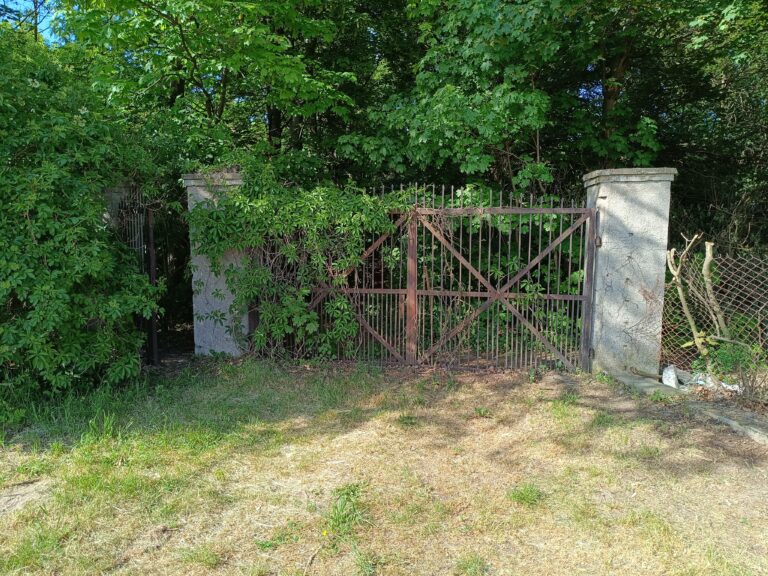 Opuszczony stary pałac, Trzcianka, województwo łódzkie - relacja z 05.2024, zdjęcie 15
