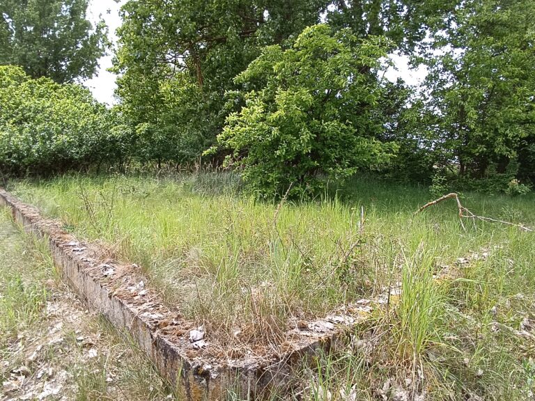 Opuszczona oczyszczalnia ścieków, Wola Niechcicka Stara, województwo łódzkie - relacja z 05.2024, zdjęcie 5