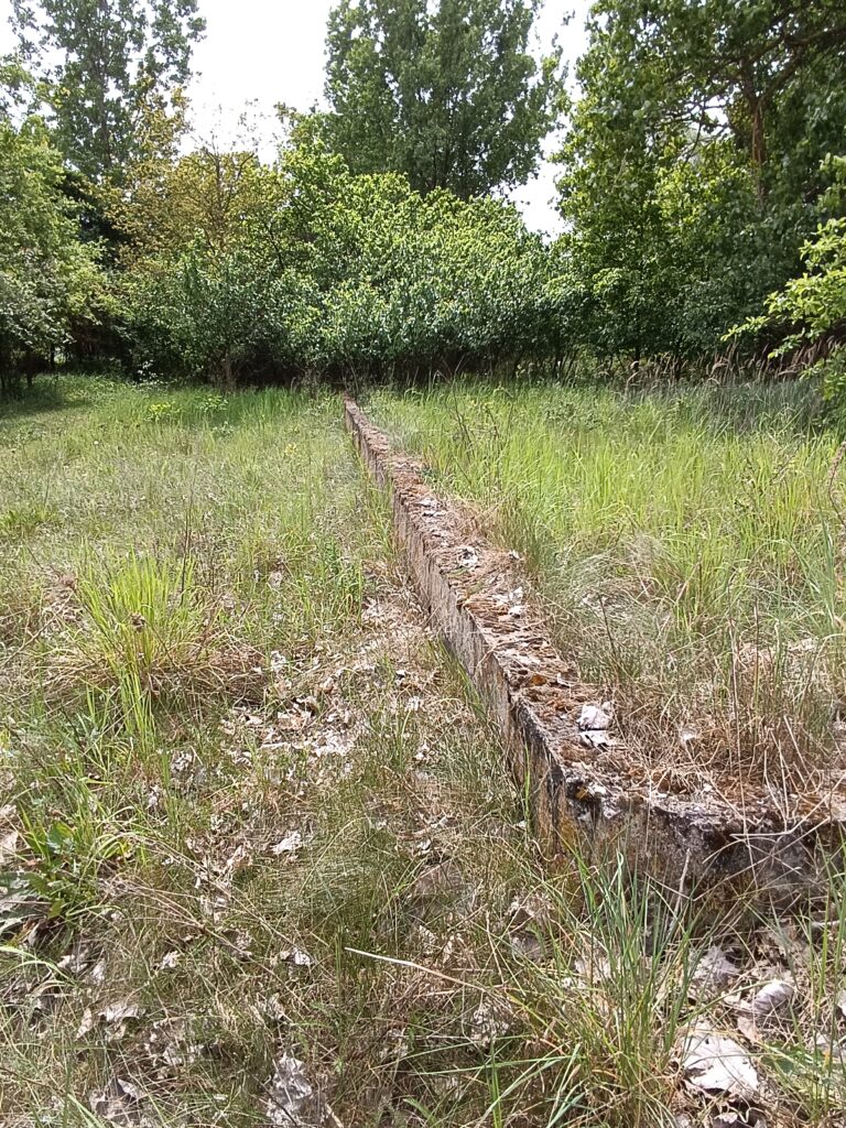 Opuszczona oczyszczalnia ścieków, Wola Niechcicka Stara, województwo łódzkie - relacja z 05.2024, zdjęcie 6