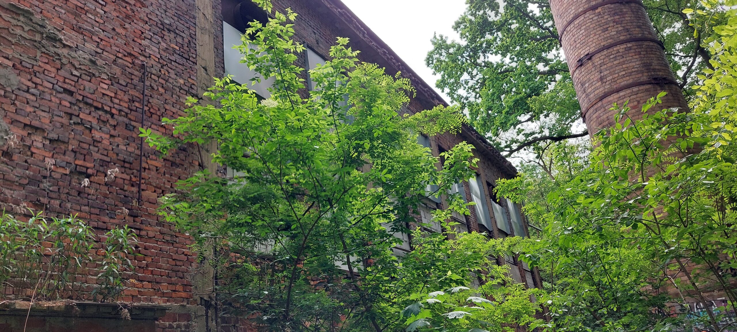 Kotłownia Szpitala Bielańskiego, Warszawa, województwo mazowieckie