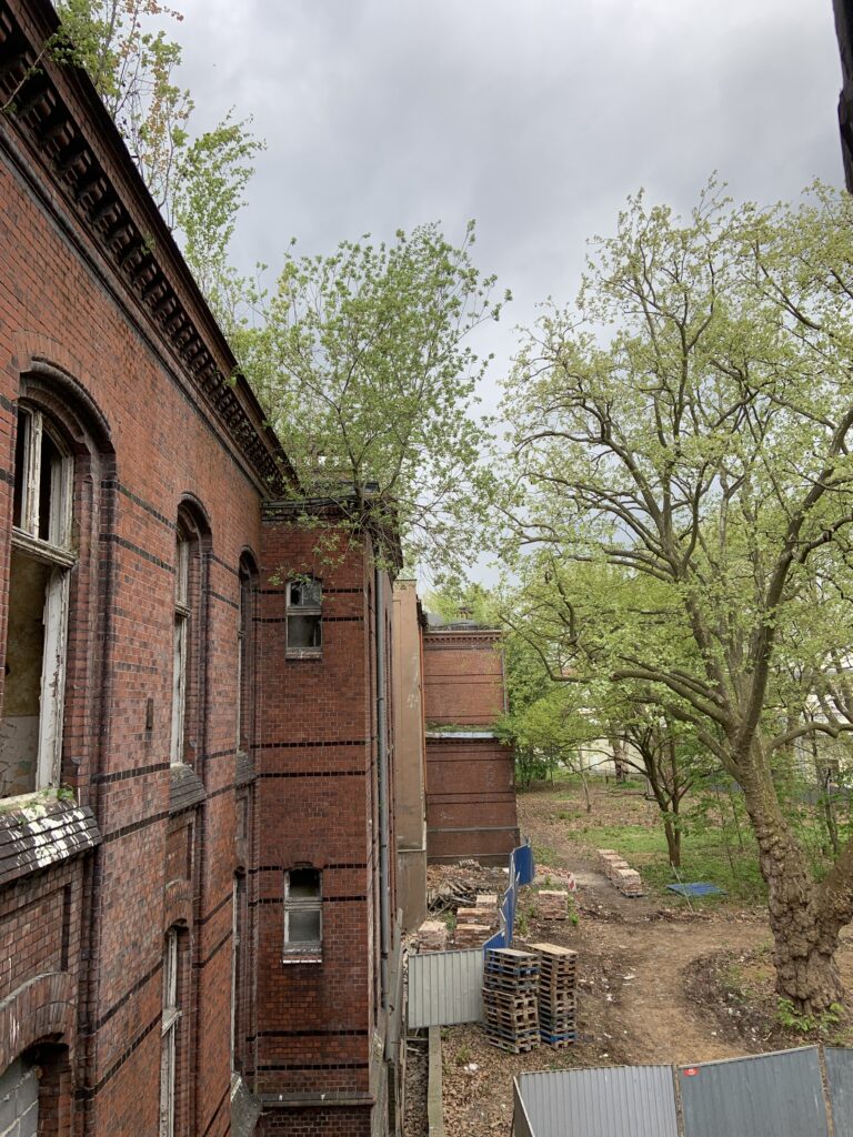 Opuszczony szpital w Raciborzu, Racibórz, województwo śląskie - relacja z 04.2024, zdjęcie 61