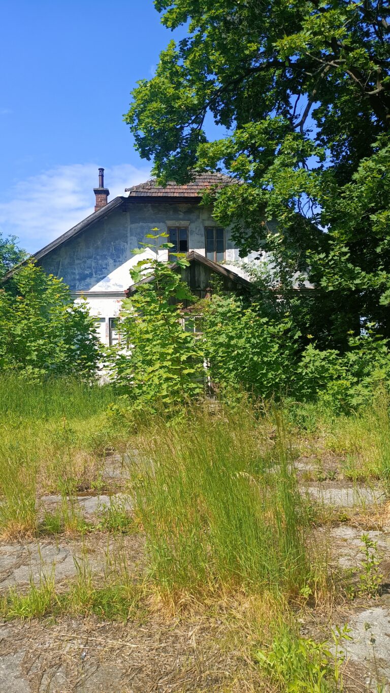 Opuszczony dworek z 1921, Tarnów, województwo małopolskie - relacja z 05.2024, zdjęcie 24