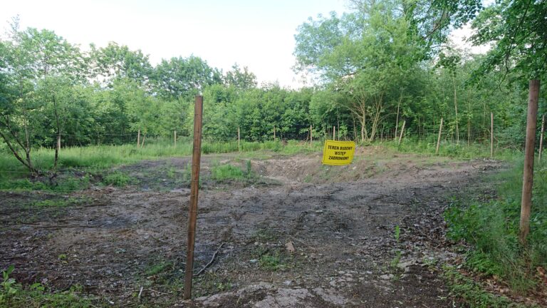 Restauracja Leśna, Bydgoszcz, województwo kujawsko-pomorskie - relacja z 06.2024, zdjęcie 14