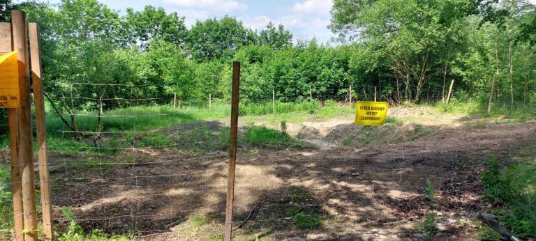 Restauracja Leśna, Bydgoszcz, województwo kujawsko-pomorskie - relacja z 06.2024, zdjęcie 15