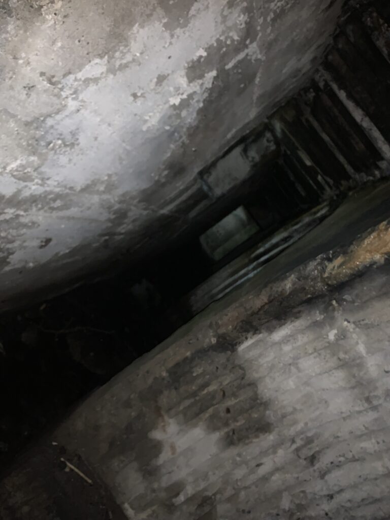Mały bunkier poniemiecki, Boruta, województwo dolnośląskie - relacja z 06.2024, zdjęcie 6