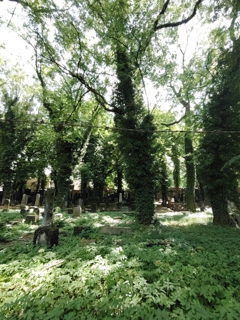 Stary Cmentarz Żydowski, Katowice, województwo śląskie - relacja z 06.2024, zdjęcie 33