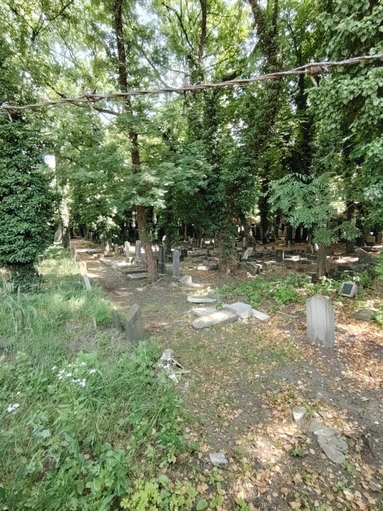 Stary Cmentarz Żydowski, Katowice, województwo śląskie - relacja z 06.2024, zdjęcie 34
