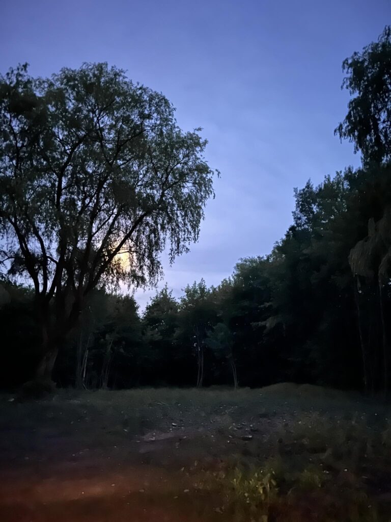 Opuszczony sierociniec, Łódź, województwo łódzkie - relacja z 06.2024, zdjęcie 16