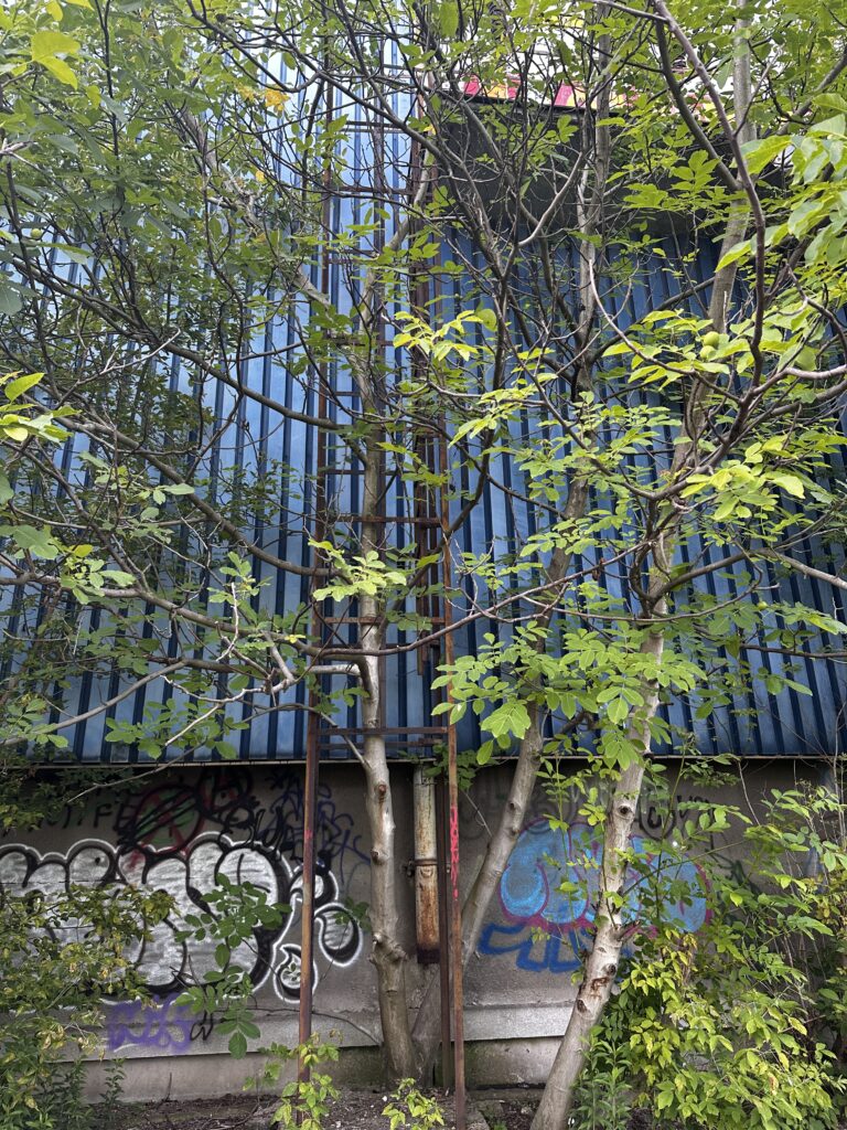 PZL Wola, Warszawa, województwo mazowieckie - relacja z 06.2024, zdjęcie 14