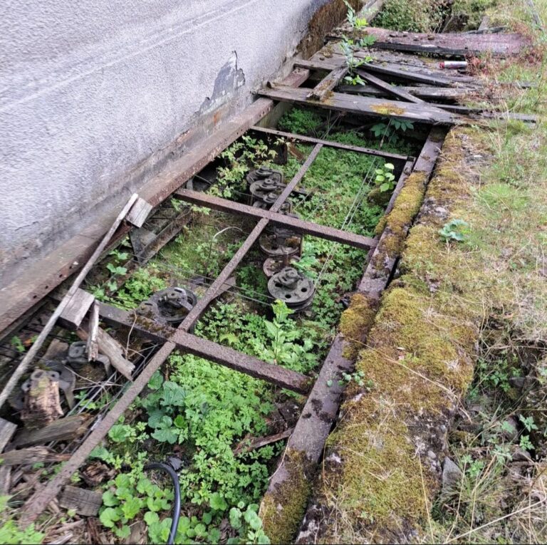 Zapomniany Dworzec, Pogórze, województwo śląskie - relacja z 06.2024, zdjęcie 9