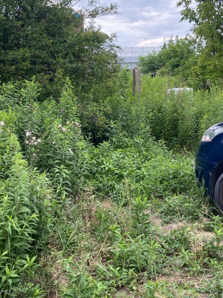 Dom jednorodzinny obok autostrady, Wrocław, województwo dolnośląskie - zdjęcie 3