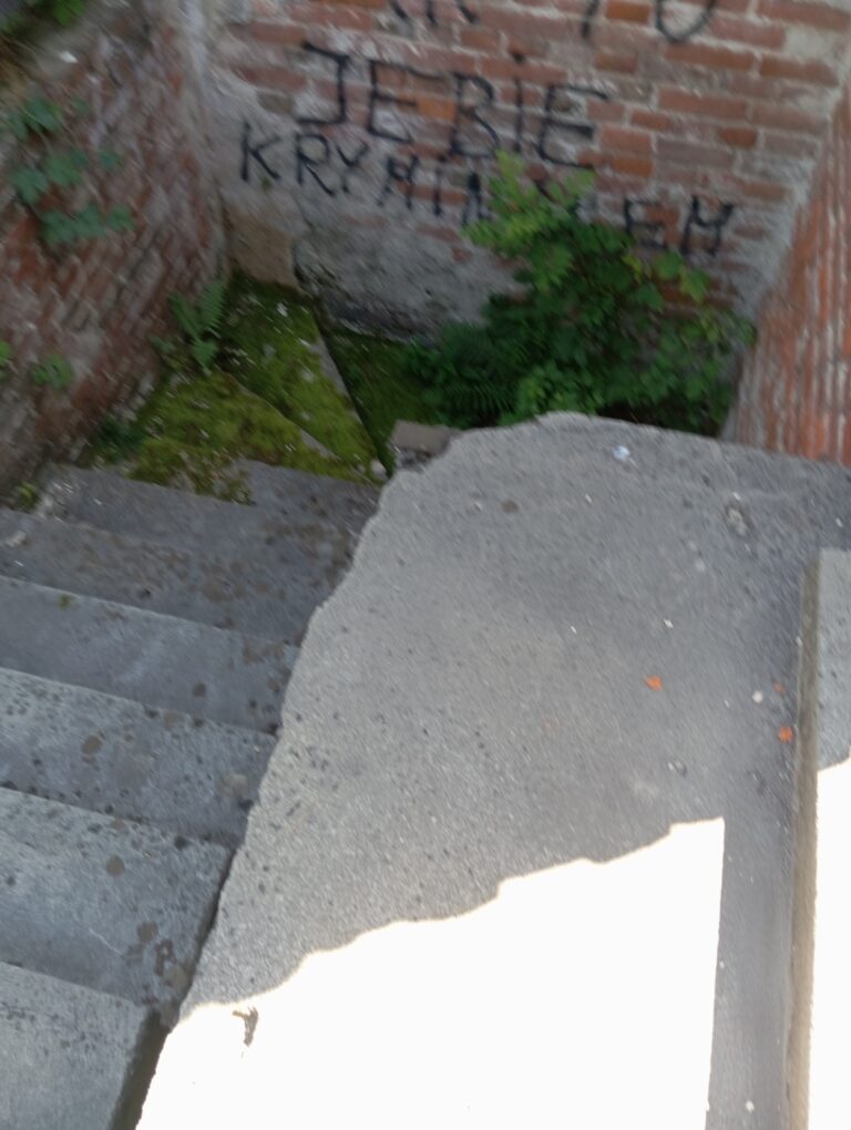 Opuszczony dom, Przemyśl, województwo podkarpackie - zdjęcie 3