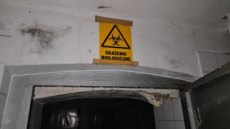 Opuszczone prosektorium, Mysłowice, województwo warmińsko-mazurskie - zdjęcie 6