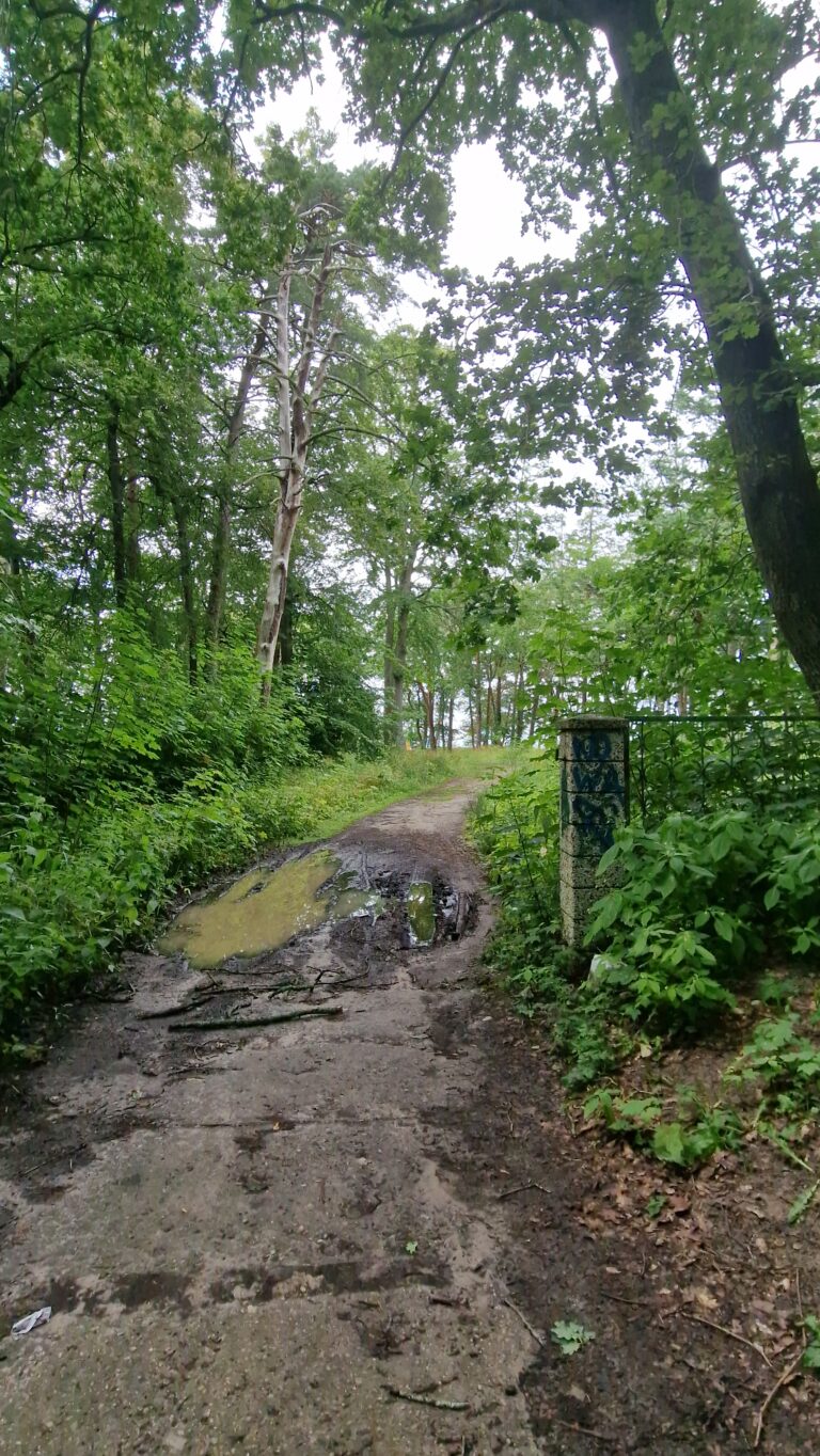 Dom Letniskowy Ewy Braun, Pobierowo, województwo zachodniopomorskie - relacja z 07.2024, zdjęcie 11