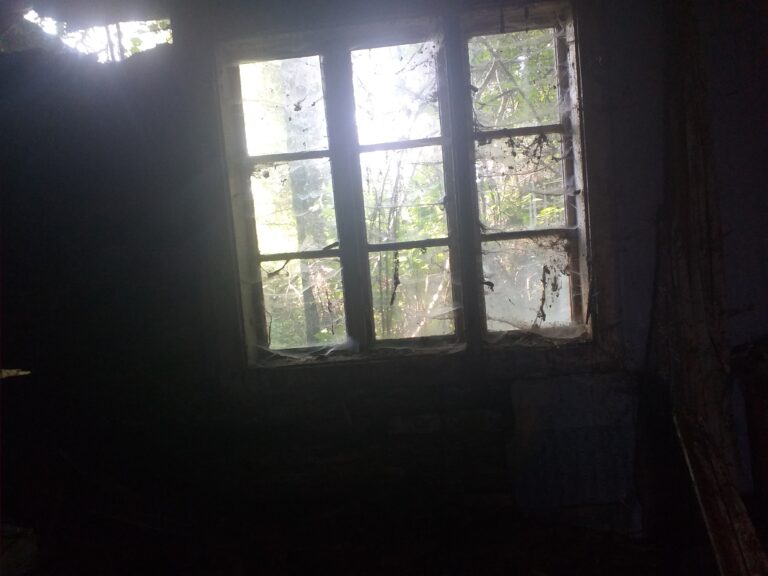 Opuszczony dom/willa, Brzeźnica, województwo małopolskie - zdjęcie 2