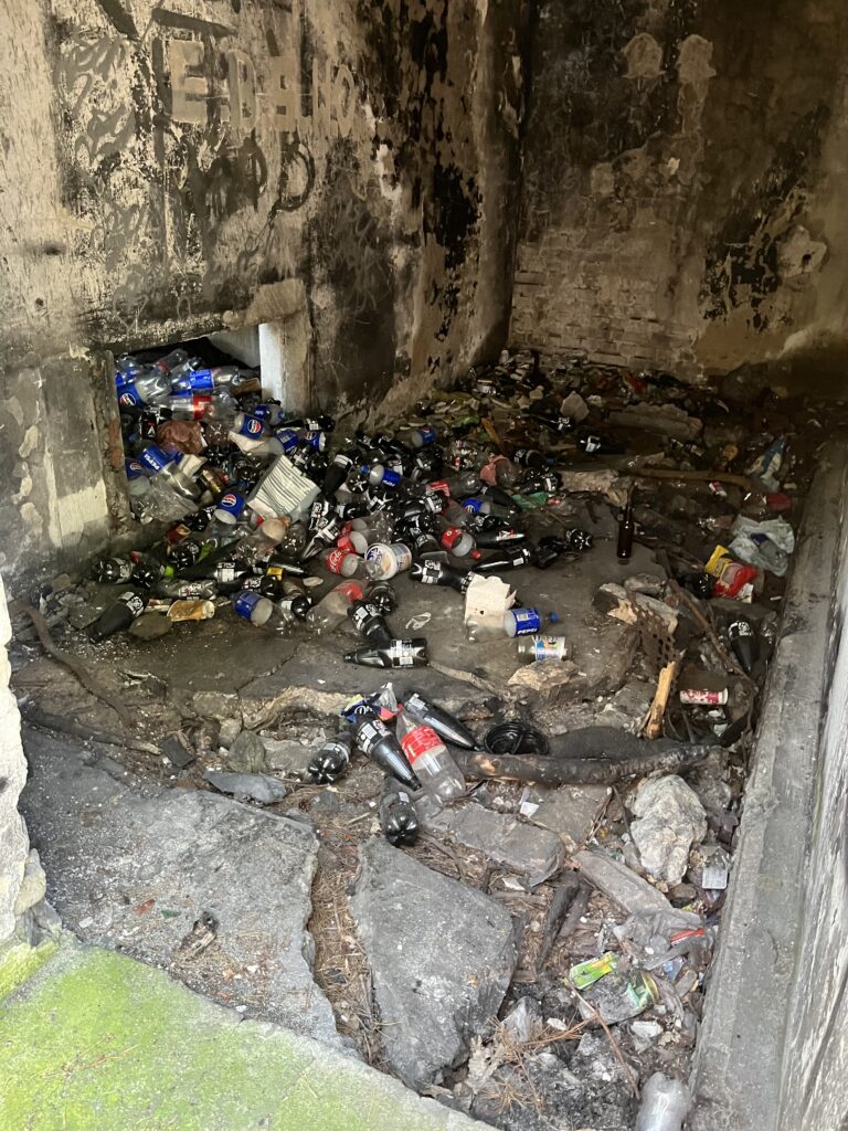 Opuszczony dom, Tychy, województwo śląskie - relacja z 07.2024, zdjęcie 2