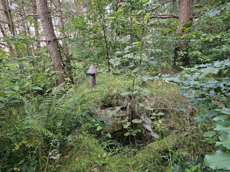 Była 221 Kompania radiotechniczna, Gostomie, województwo pomorskie - relacja z 07.2024, zdjęcie 13