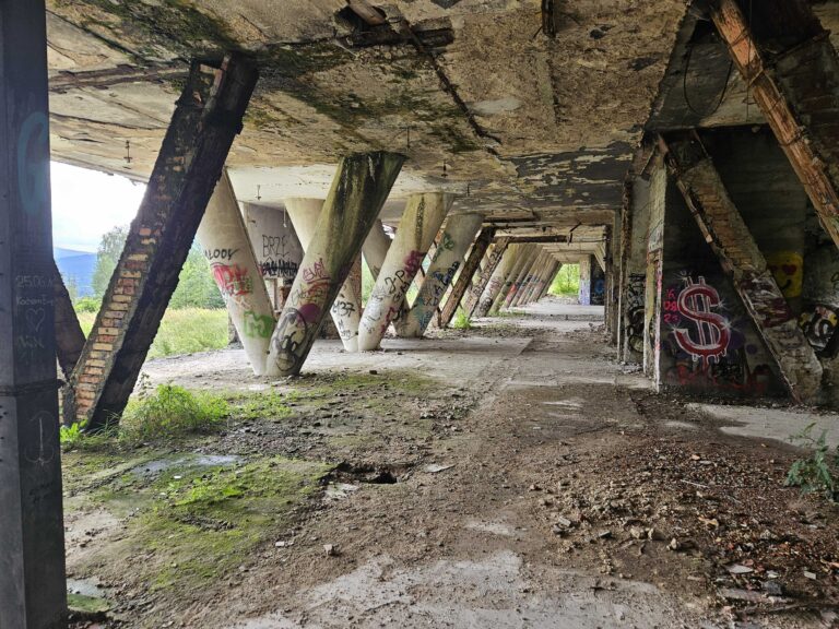 Stalownik, Bielsko-Biała, województwo śląskie - relacja z 08.2024, zdjęcie 78