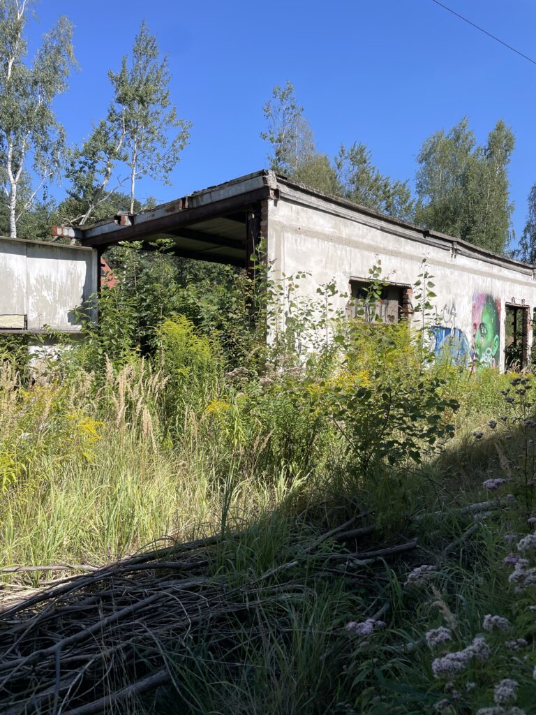 Wędzarnia Ryb, Katowice, województwo śląskie - relacja z 08.2024, zdjęcie 23