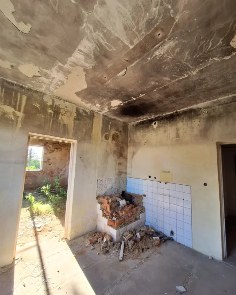 Chata “Drakuli”, Dominiczyn, województwo lubelskie - relacja z 08.2024, zdjęcie 29