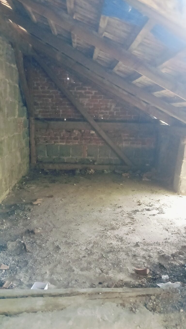 Opuszczony dom, Rzeszów, województwo podkarpackie - relacja z 08.2024, zdjęcie 12