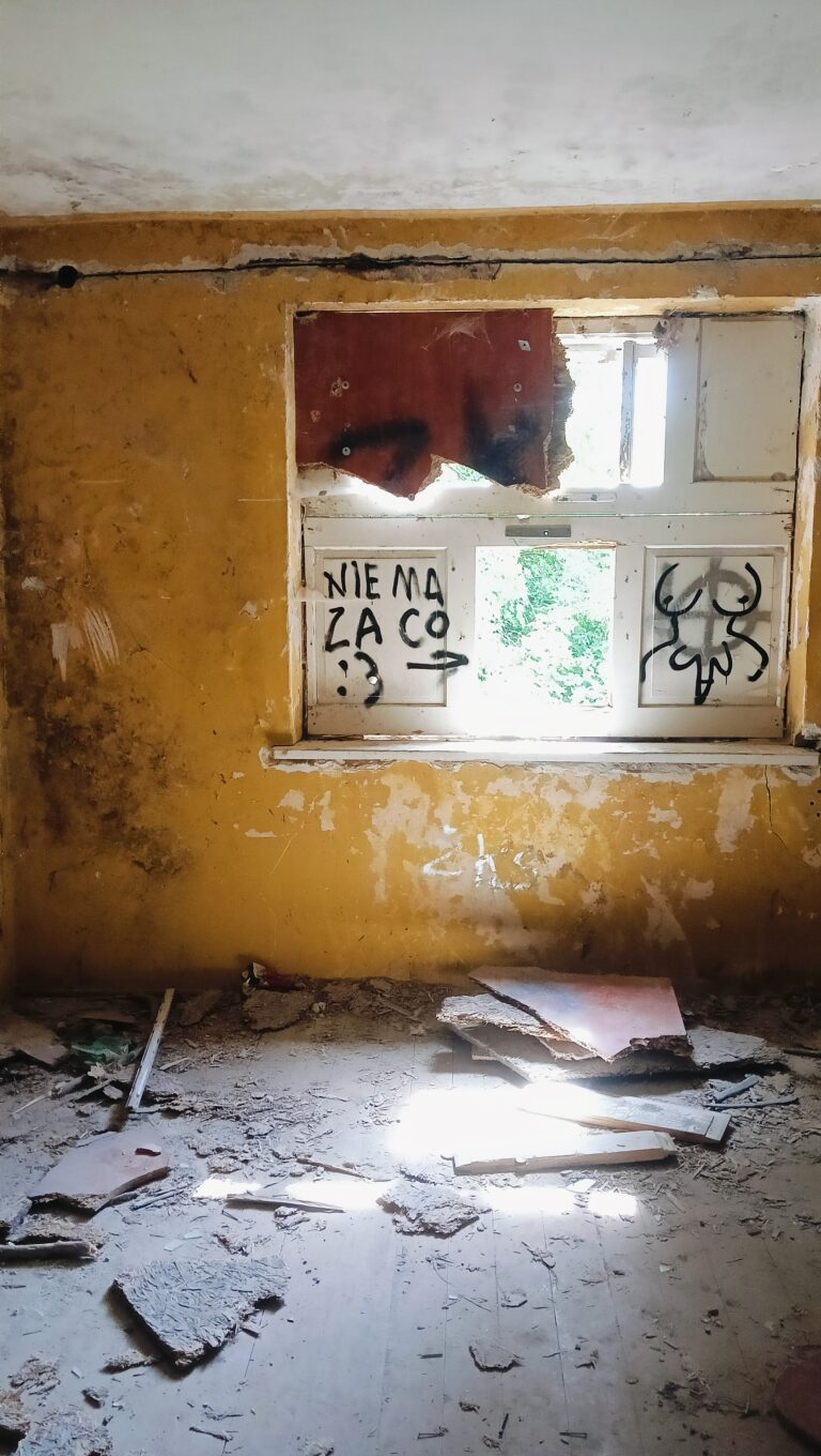 Opuszczony dom, Rzeszów, województwo podkarpackie - relacja z 08.2024, zdjęcie 13
