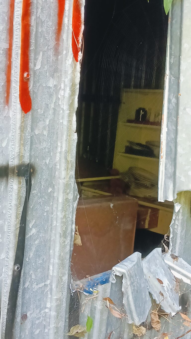 Opuszczony dom, Rzeszów, województwo podkarpackie - relacja z 08.2024, zdjęcie 3