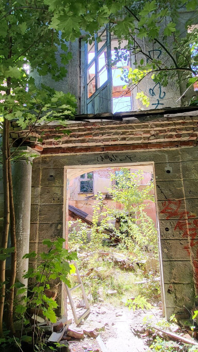 Opuszczony Dwór z XVIII wieku, Wytowno, województwo pomorskie - relacja z 08.2024, zdjęcie 10