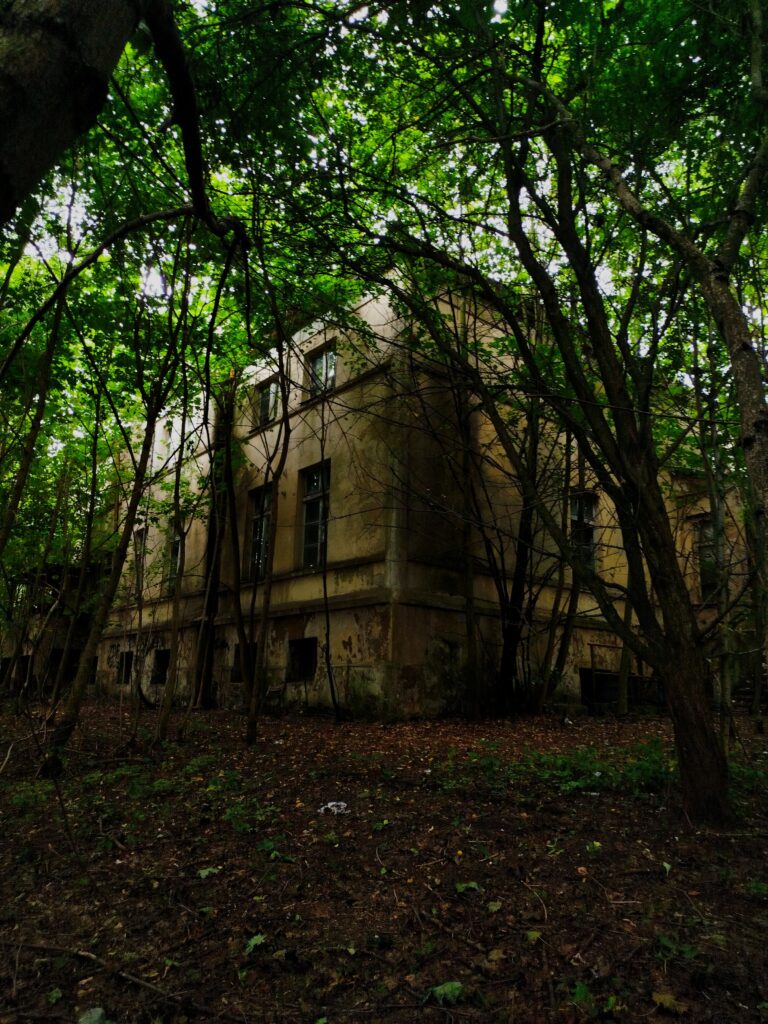 Pałac w lasku, Wierzchucinek, województwo kujawsko-pomorskie - relacja z 08.2024, zdjęcie 21