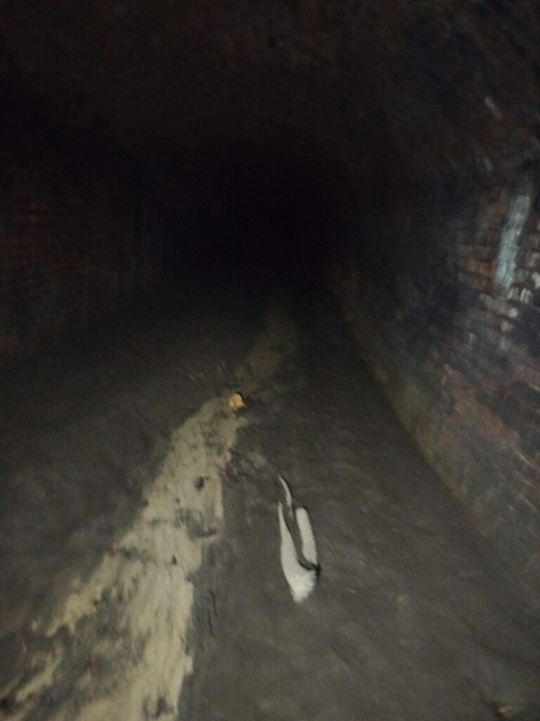 Stary kanał pruski, Mysłowice, województwo śląskie - zdjęcie 1