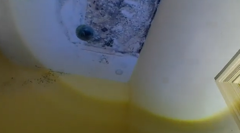 Hotel Bajka, Łagów, województwo lubuskie - zdjęcie z relacji 7