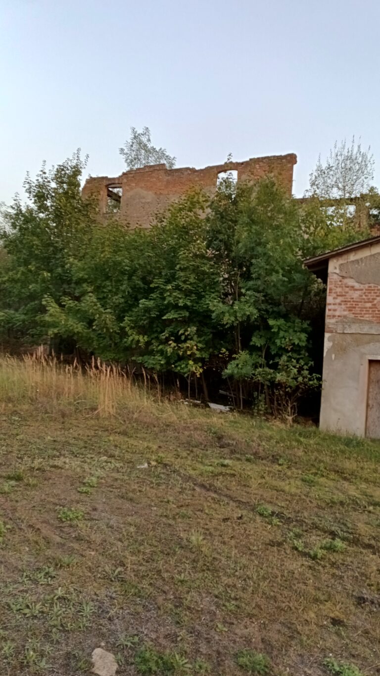 Opuszczona Placówka Rolnicza/PGR  w Roszkowie, Roszkowo, województwo wielkopolskie - zdjęcie 2