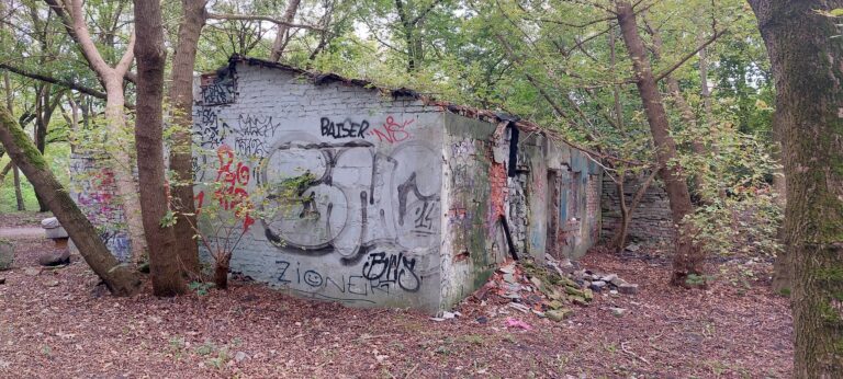 Ruiny przedwojennego domu, Warszawa, województwo mazowieckie - zdjęcie 1