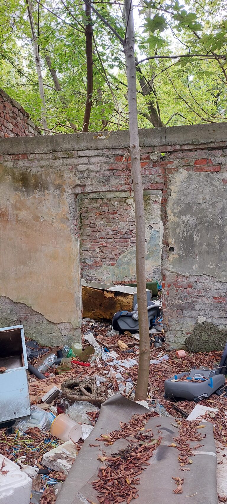 Ruiny przedwojennego domu, Warszawa, województwo mazowieckie - zdjęcie 2