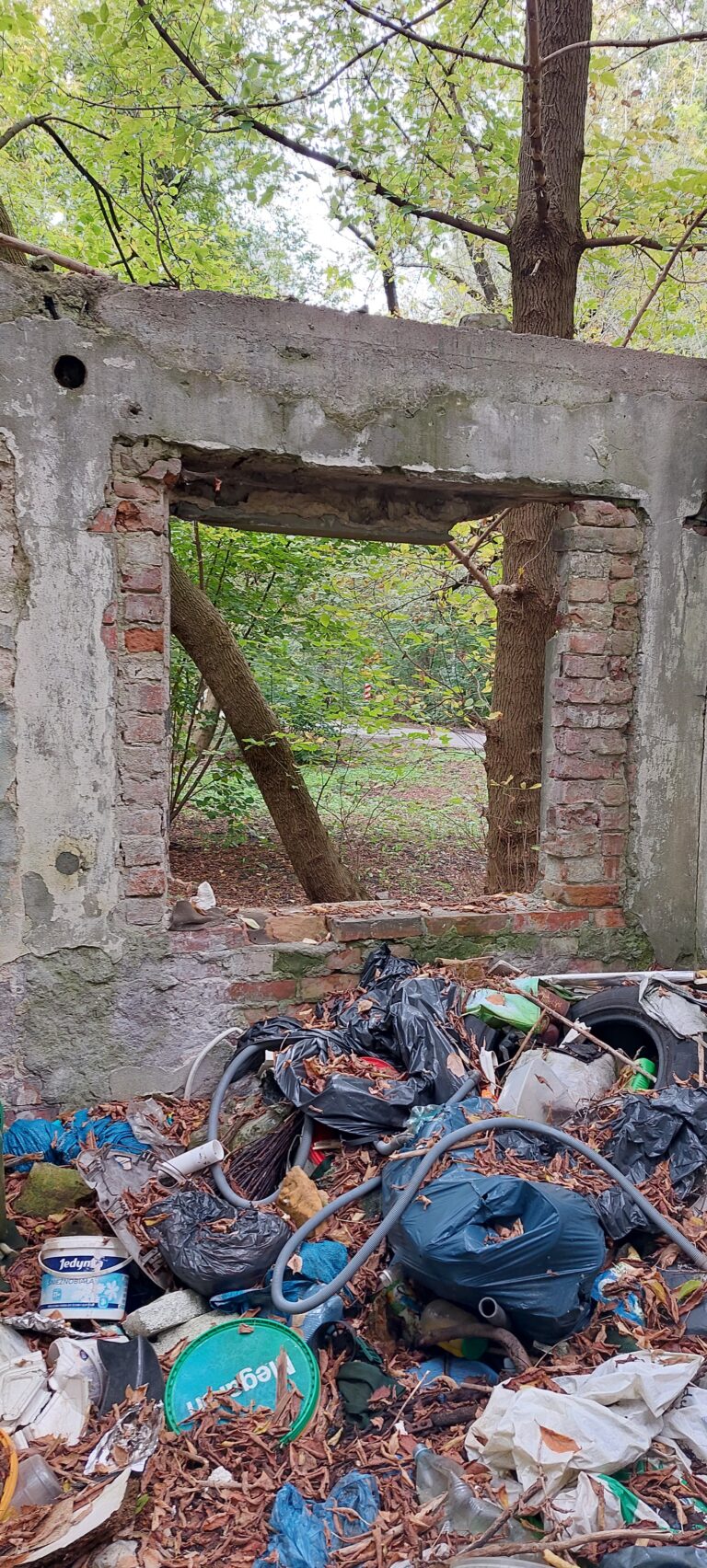 Ruiny przedwojennego domu, Warszawa, województwo mazowieckie - zdjęcie 3