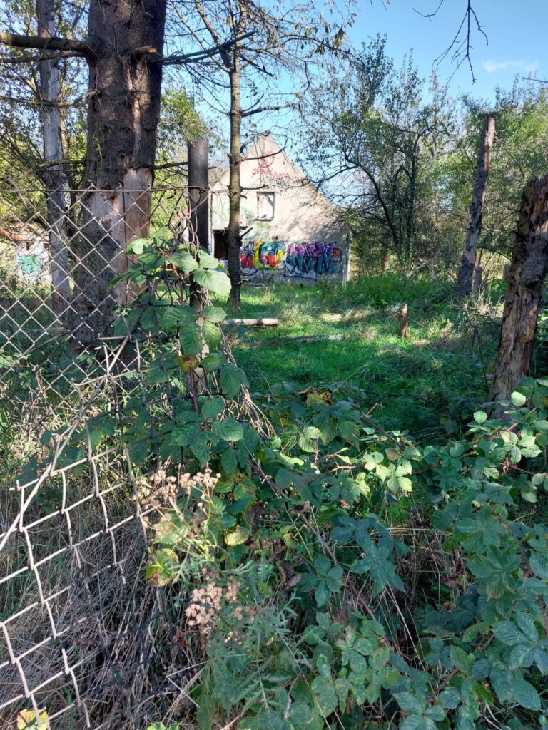 Opuszczony dom na Łące – Kliny, Kraków, województwo małopolskie - zdjęcie 1