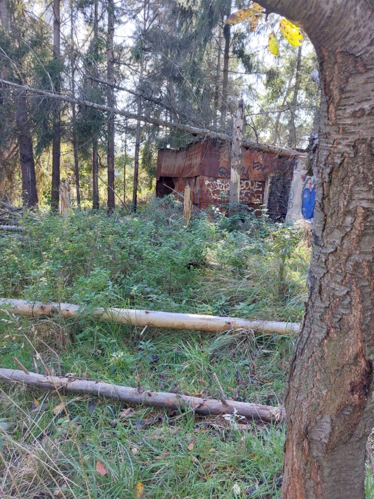 Opuszczony dom na Łące – Kliny, Kraków, województwo małopolskie - zdjęcie 2