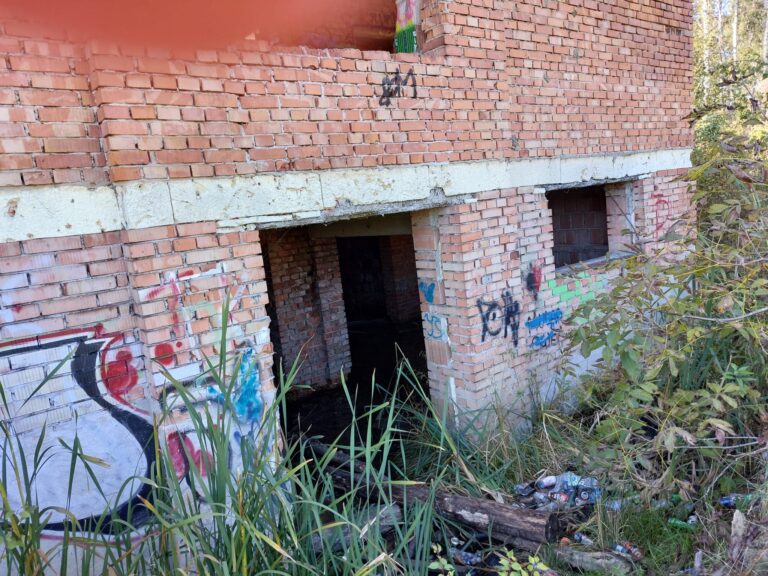 Drugi opuszczony dom na łące, Kliny Kraków, Kraków, województwo małopolskie - zdjęcie 3