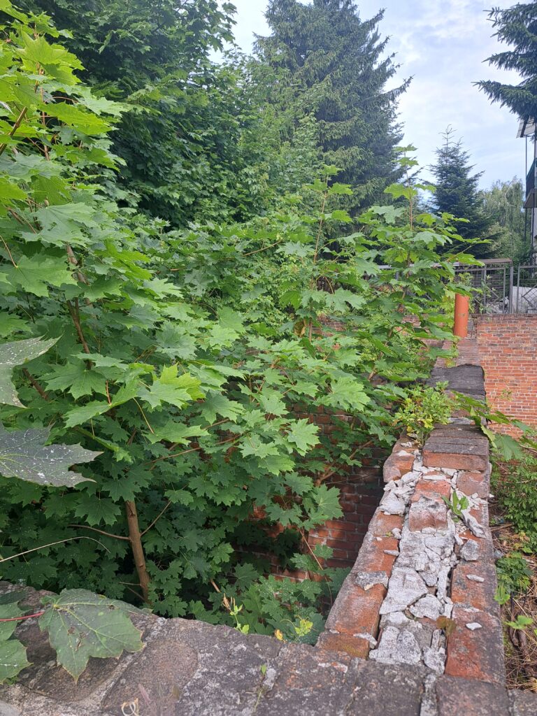 Niedokończona piekarnia, Lublin, województwo lubelskie - zdjęcie 2