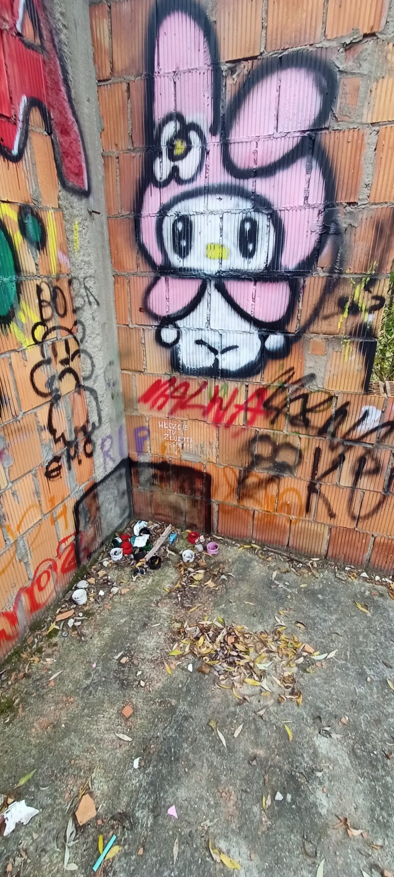 Opuszczony budynek na ulicy ząbkowskiej, Sokołów Podlaski, województwo mazowieckie - zdjęcie 1