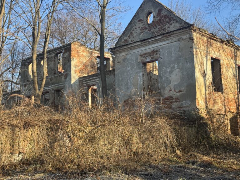 Pałac Wesołówka, Jeleniec, województwo lubelskie - zdjęcie 2