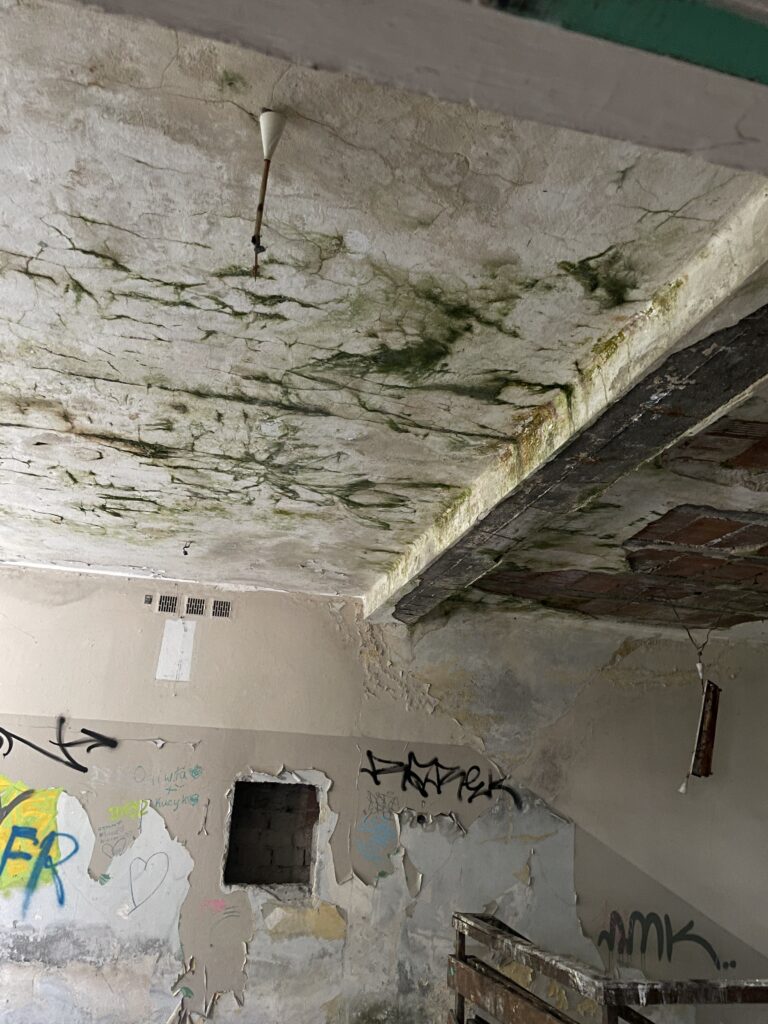 Opuszczone przedszkole, Katowice, województwo śląskie - relacja z 08.2025, zdjęcie 36