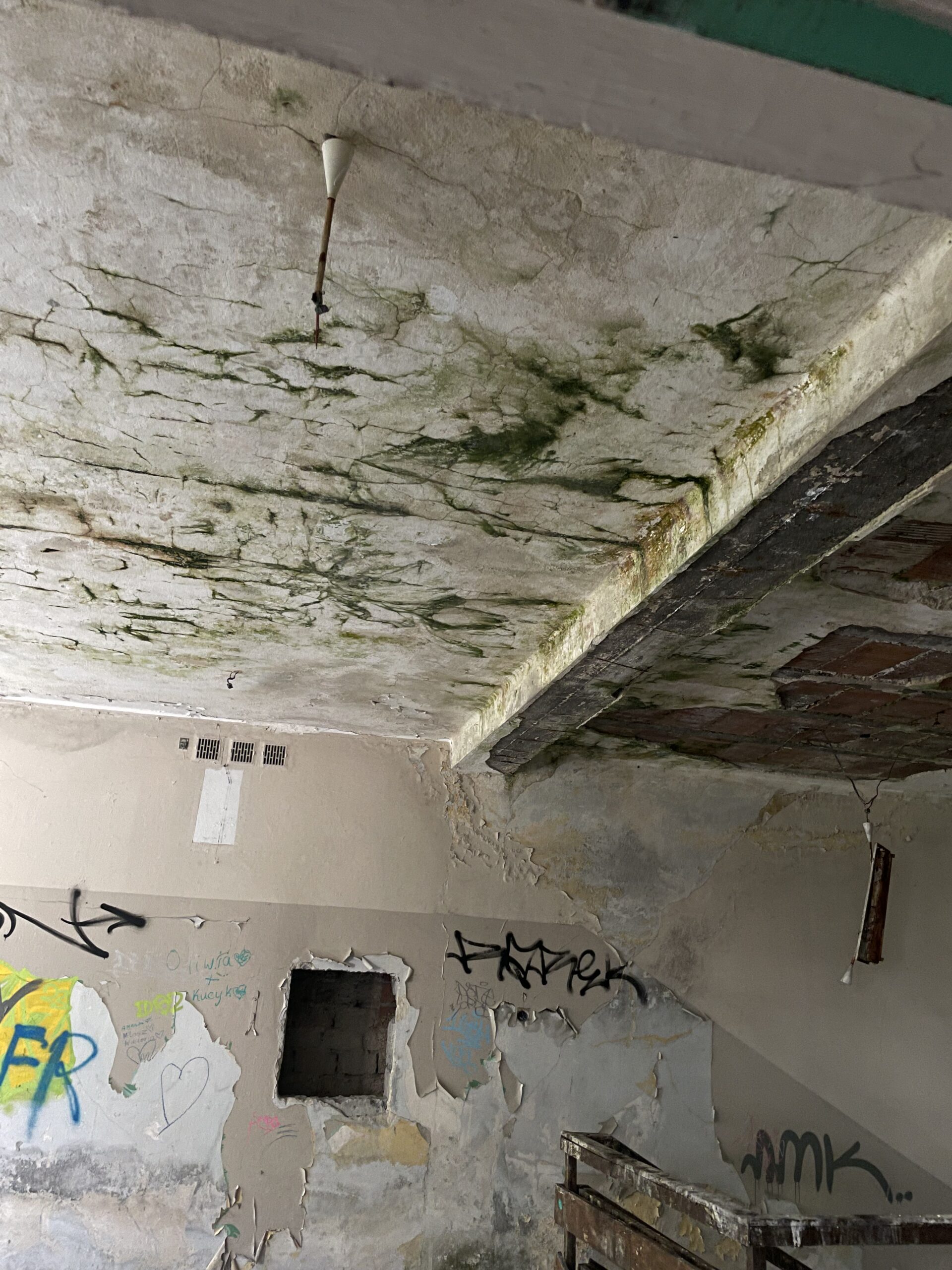 Opuszczone przedszkole, Katowice, śląskie — zdjęcie 5
