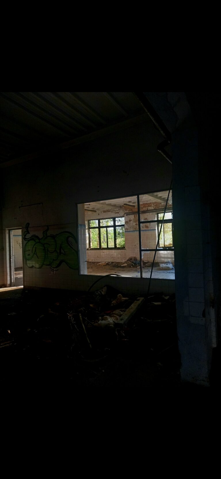 Browar w Trzcianie, Dąbrowa, województwo podkarpackie - relacja z 06.2024, zdjęcie 19