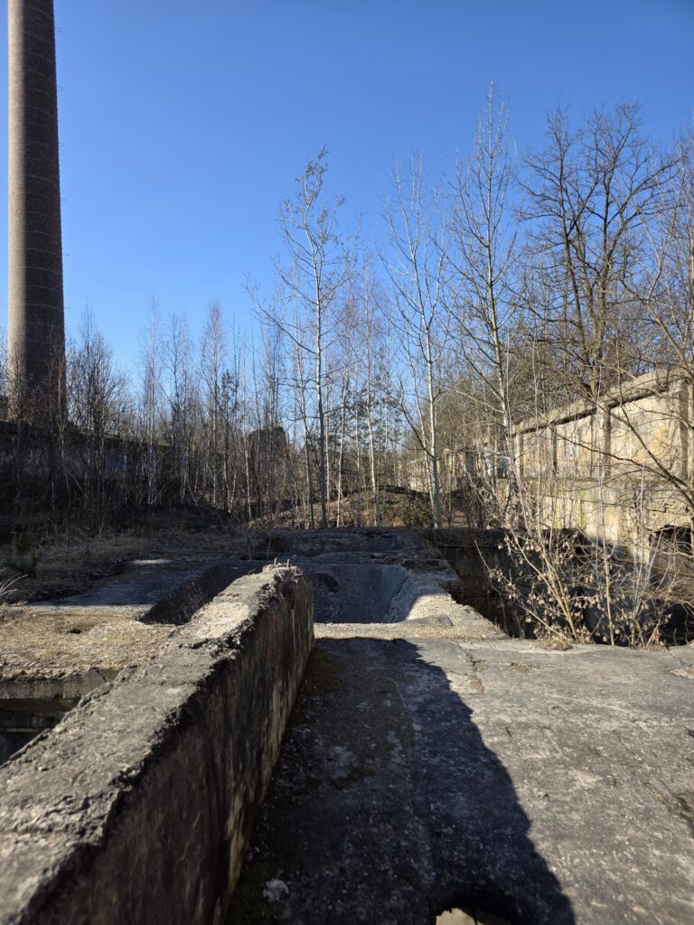 Cementownia Grodziec, Będzin, województwo śląskie - relacja z 03.2025, zdjęcie 67