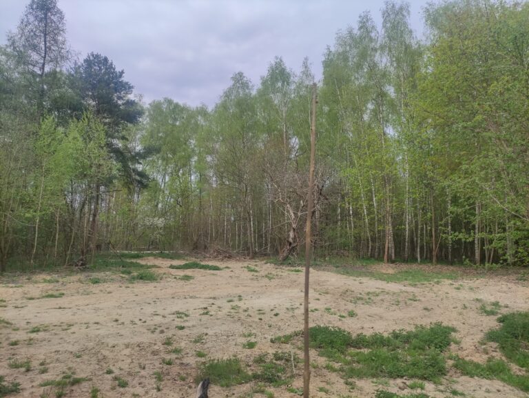 Opuszczony dom w lesie, Łódź, województwo łódzkie - relacja z 04.2025, zdjęcie 22