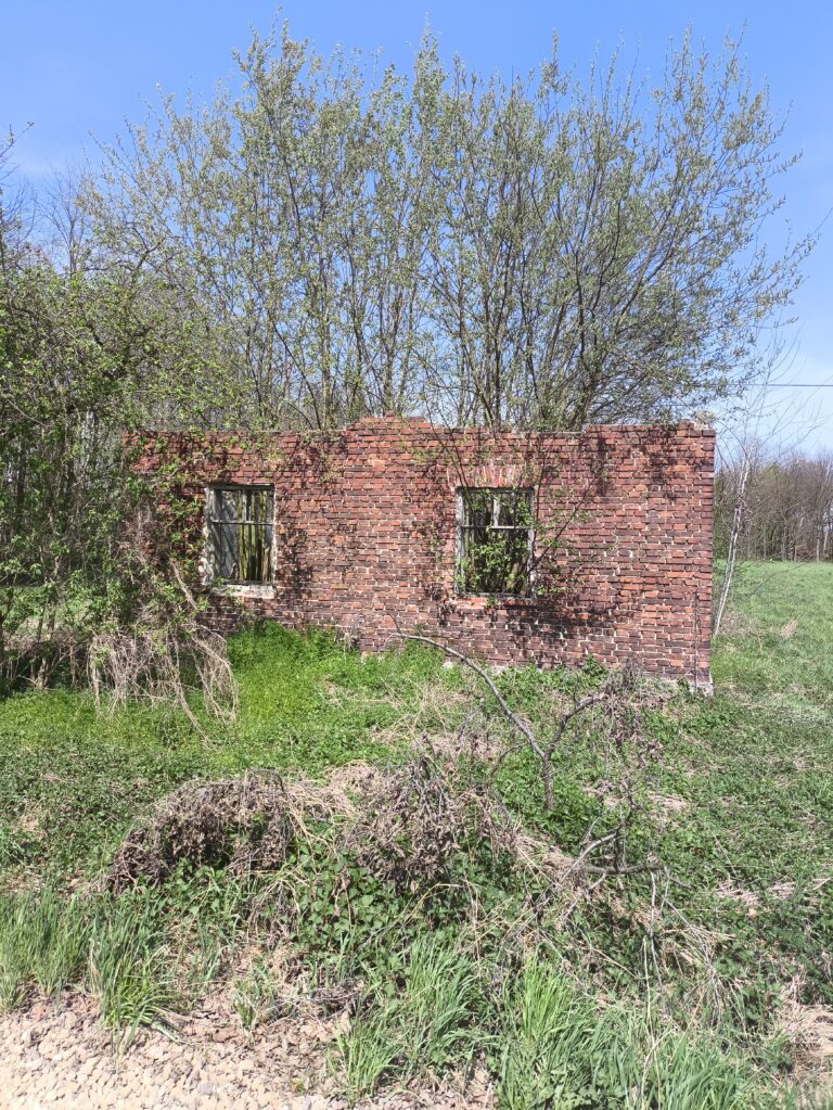 Ruiny domu, Jawiszowice, województwo małopolskie - zdjęcie 4