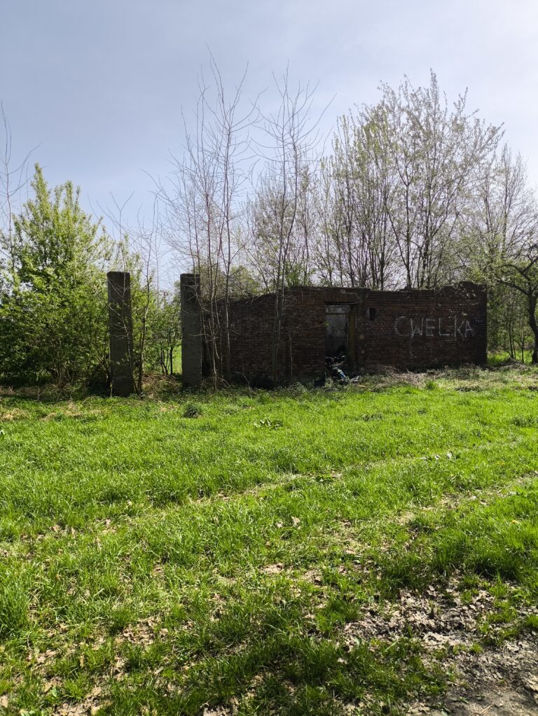Ruiny domu, Jawiszowice, województwo małopolskie - zdjęcie 5