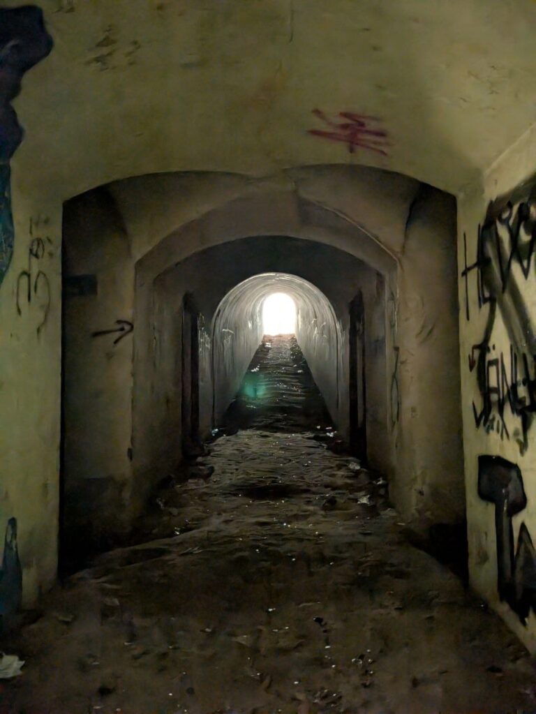 Fort 48 Batowice, Kraków, województwo małopolskie - relacja z 05.2025, zdjęcie 8