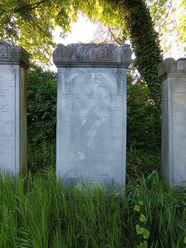 cmentarz żydowski, Pasłęk, województwo warmińsko-mazurskie - zdjęcie 2